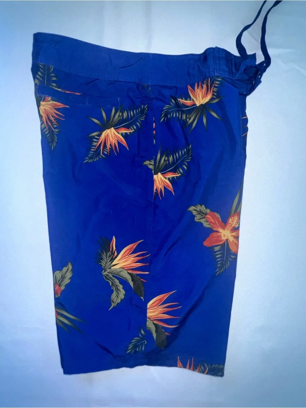 O'Rageous Men's Floral/Tropical Board Shorts, Blue, Small